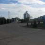 kaldarica